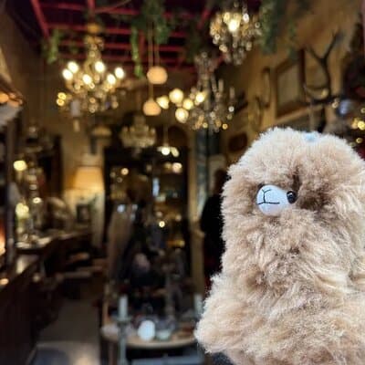 Saint Ouen Marche aux Puces Flea Market Private Walking Tour 5