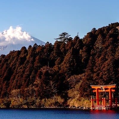 Hakone & Mt Fuji Private Custom Tour with English Driver-guide 3