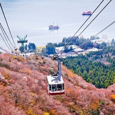 Hakone & Mt Fuji Private Custom Tour with English Driver-guide 5