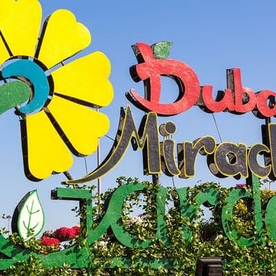 Miracle Garden and Global Village Private Tour - Dubai 3