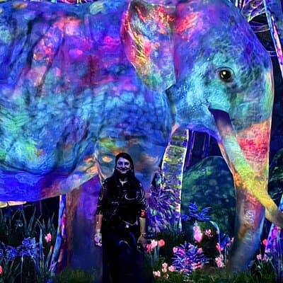 Tokyo: teamLab Planets & Toyosu Fish Market Guided Tour