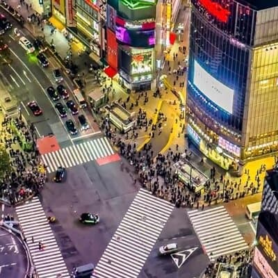 Tokyo Full-Day Private Walking Tour – Fully Personalized