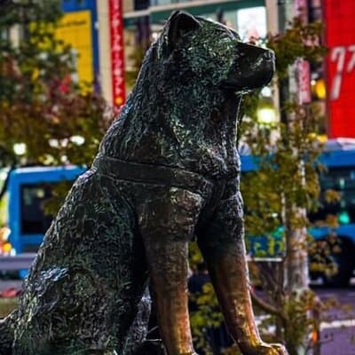 Tokyo Full-Day Private Walking Tour – Fully Personalized 3