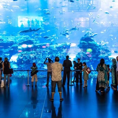 Dubai Aquarium and Underwater Zoo with Penguin Cove Tickets