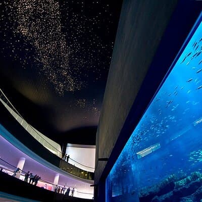 Dubai Aquarium and Underwater Zoo with Penguin Cove Tickets 3