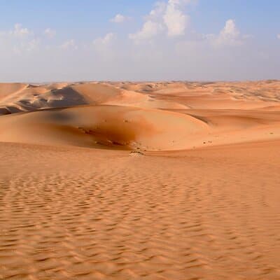 Full Day Liwa Desert Safari Trip and Explore Empty Quarter 4