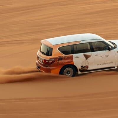 Dubai Red Dunes Safari with Dune Bashing, Camel Ride, BBQ Dinner