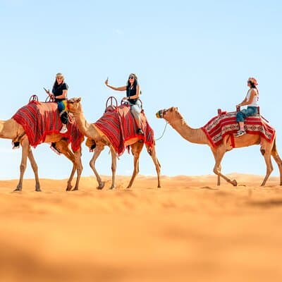 Dubai Red Dunes Safari with Dune Bashing, Camel Ride, BBQ Dinner 2
