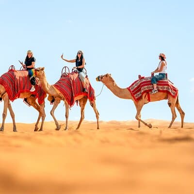 Dubai Desert Safari with Dune Bashing & Camel Ride – Half Day 5