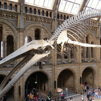 Londons Natural History Museum