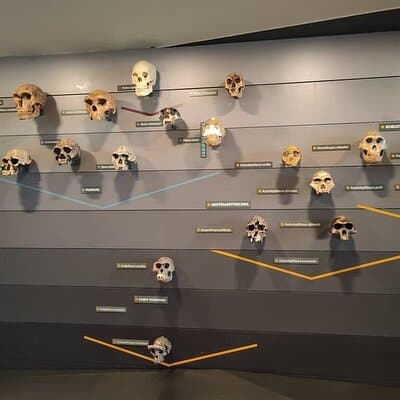 Londons Natural History Museum 4