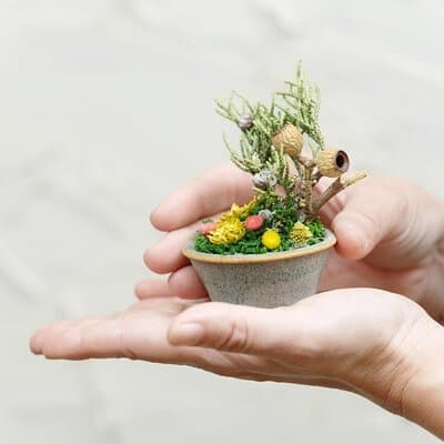 Bonsai Style Arrangement Workshop in Tokyo 2