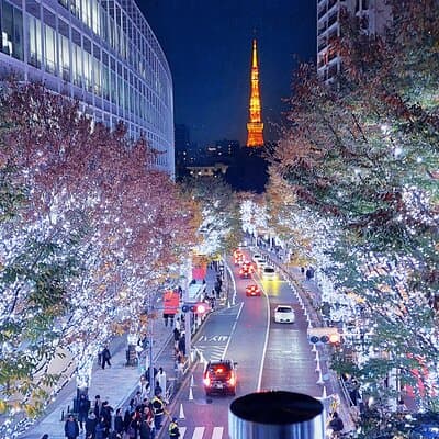 Tokyo Winter Illumination Ebike Tour 2
