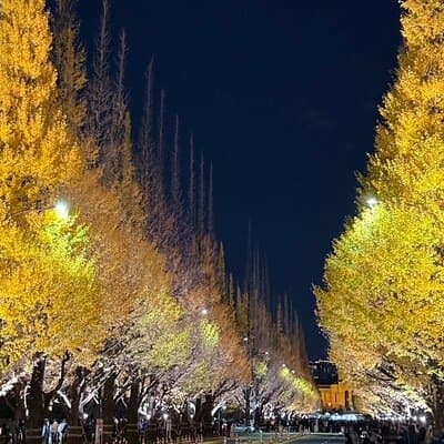 Tokyo Full-Day Private Walking Tour – Fully Personalized 5