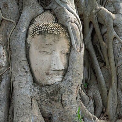 2 Day Private Car with Driver from Laem Chabang to Bangkok & Ayutthaya 3
