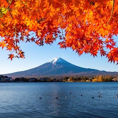 Mount Fuji Private Custom Tour with Local English Speaking Guide 5