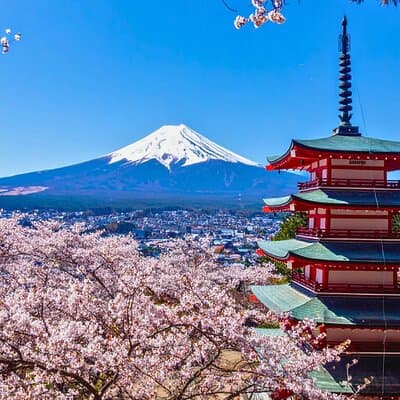 Mount Fuji Private Custom Tour with Local English Speaking Guide