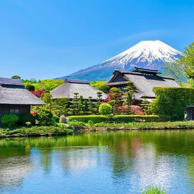Mount Fuji Private Custom Tour with Local English Speaking Guide 2