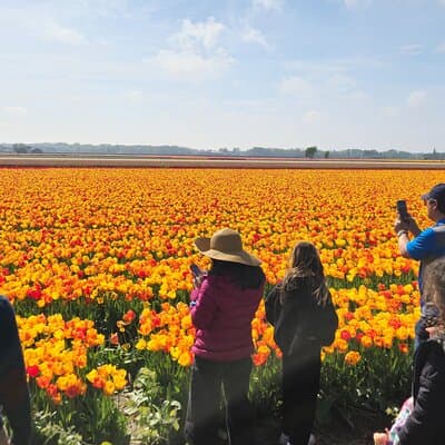 Private Tulip & Windmill Layover Tour from Schiphol Airport 2