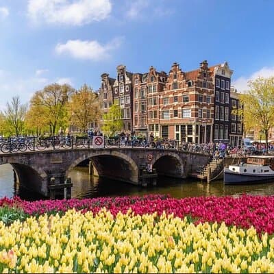 Private Transfer Paris to Amsterdam with Multilingual Driver 5