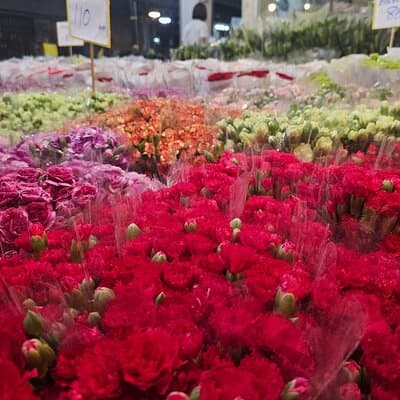 Golden Buddha Reclining Buddha and Marble Temple Private Tour 5