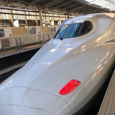 Kyoto Day Trip from Tokyo by Bullet Train Private Guided Tour