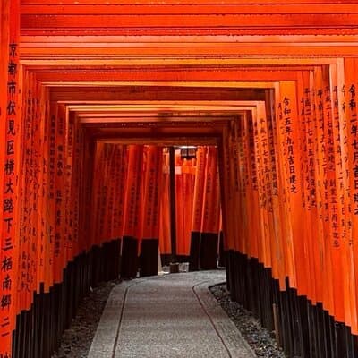 Kyoto Day Trip from Tokyo by Bullet Train Private Guided Tour 4