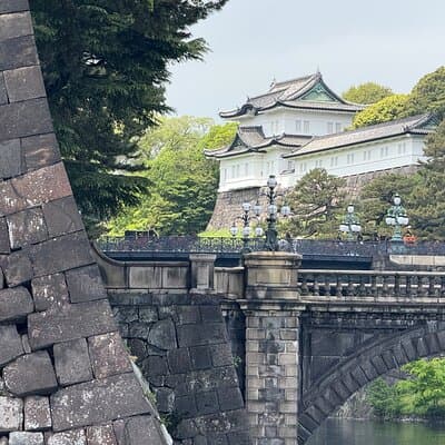 Imperial Palace Tokyo Station and Tsukiji Market Private Tour 2