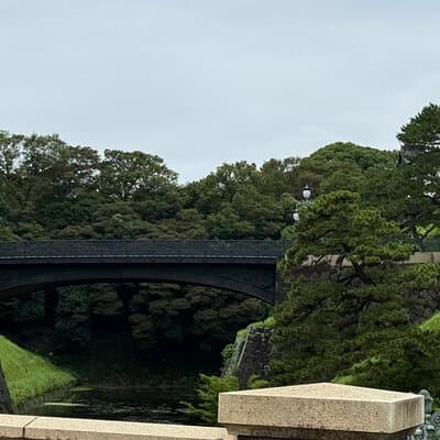 Imperial Palace Tokyo Station and Tsukiji Market Private Tour 4