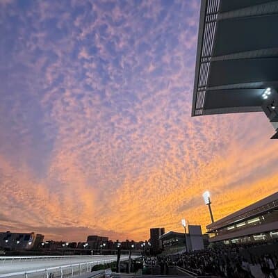 Horse Racing Tour with Local Fans in Tokyo, Oi Racecourse 2