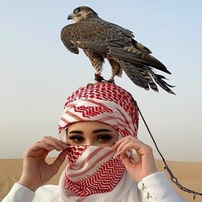 Morning Red Dunes Adventure with quad bike & Camel Ride Dubai 3