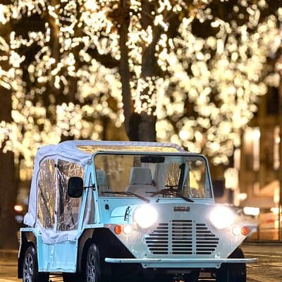 Private 1 - hour Tour: Eiffel Tower,Champs-Elysées Arc DE Triomphe