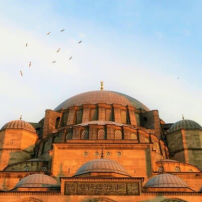 Istanbul Guided Tour: Hagia Sophia, Basilica Cistern and More!