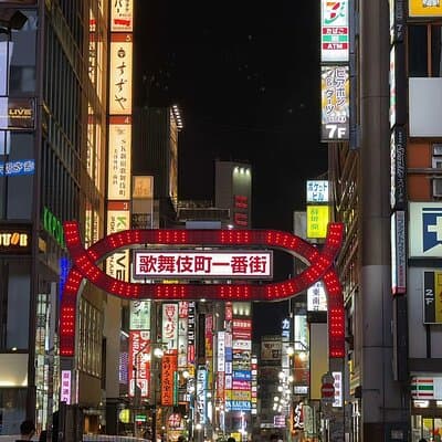 Tokyo Private Custom Tour with Local Guide 4