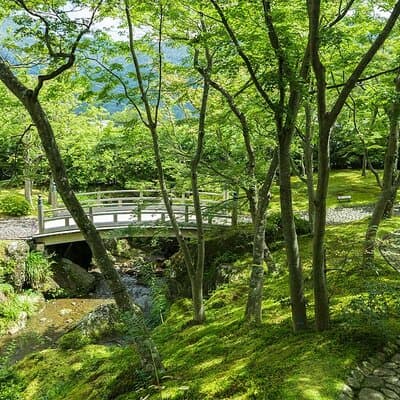 Hakone hot spring day trip from Tokyo with private driver 4