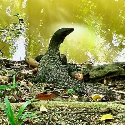 Bangkok Green Oasis 4-Hour Bike Tour with Boat Ride 4