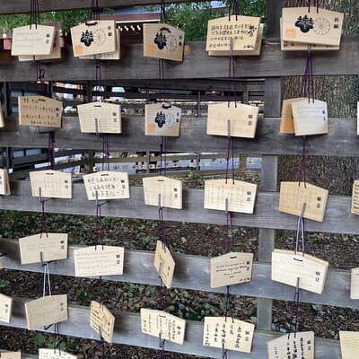 Meiji Jingu Historical Walk and Food Tasting Tour in Tokyo 2