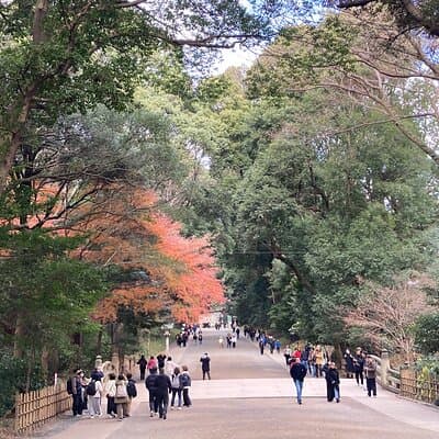 Meiji Jingu Historical Walk and Food Tasting Tour in Tokyo 5