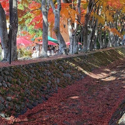 Mount Fuji Full Day Customize Private Tour With English Guide 5