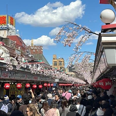 Experience Tokyo with Asakusa Walking Tour