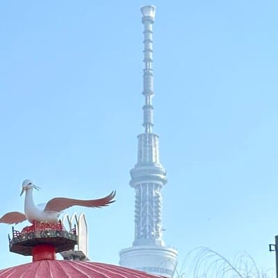 Experience Tokyo with Asakusa Walking Tour 5