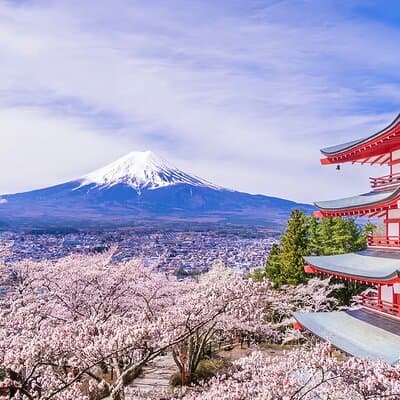 From Tokyo: Mt. Fuji 6 Attractions: Lake Kawaguchi, Oshino Hakkai
