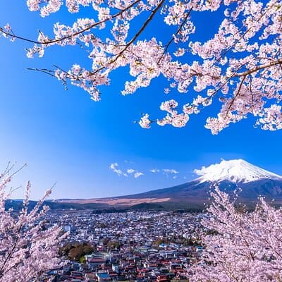 From Tokyo: Mt. Fuji 6 Attractions: Lake Kawaguchi, Oshino Hakkai 2