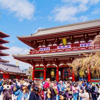Tokyo Bus Tour with Meiji Shrine Asakusa Harajuku Shibuya 2