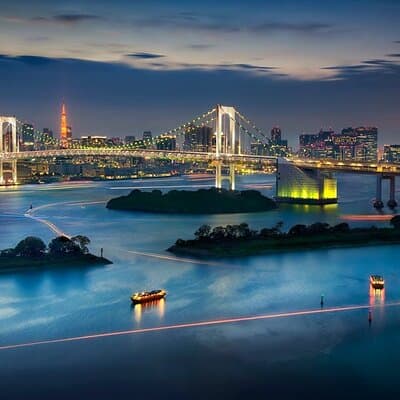 Private 2 Day Tokyo & Mt Fuji Custom Tour with English Driver 4