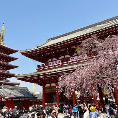 Tokyo Private Half-Day Highlights Tour by Car with Guide