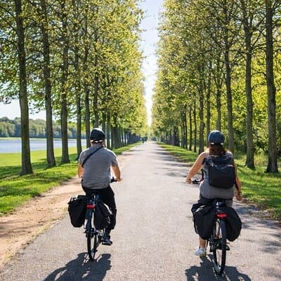 Private Tour: Versailles by Electric Bike from Paris 3