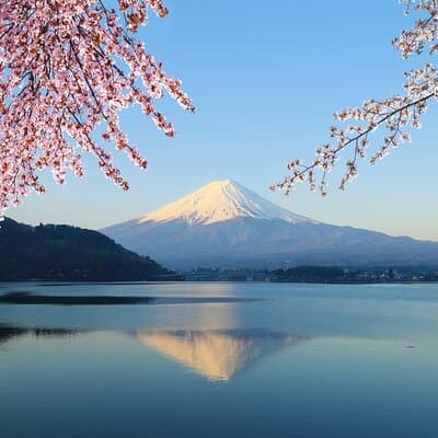 Mt. Fuji & Hakushu Distillery Whisky Museum Bus Tour from Tokyo 4