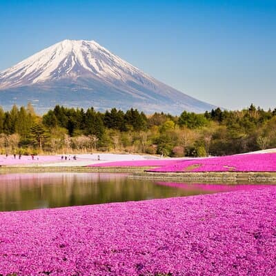Mt. Fuji & Hakushu Distillery Whisky Museum Bus Tour from Tokyo 2