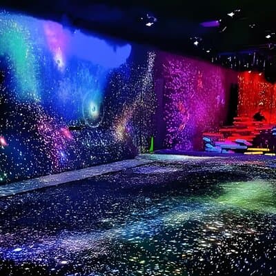 Tokyo: TeamLab Planets Admission & 24-Hour Subway Ticket 2